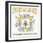 Honeybee Blossoms IV-Anne Tavoletti-Framed Art Print