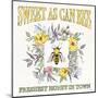 Honeybee Blossoms IV-Anne Tavoletti-Mounted Art Print