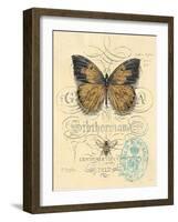 Honeybee Papillon-Chad Barrett-Framed Art Print