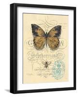 Honeybee Papillon-Chad Barrett-Framed Art Print