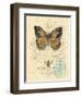 Honeybee Papillon-Chad Barrett-Framed Art Print