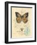 Honeybee Papillon-Chad Barrett-Framed Art Print