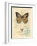 Honeybee Papillon-Chad Barrett-Framed Art Print