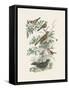 Honeybloom Bird I-Wild Apple Portfolio-Framed Stretched Canvas