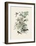 Honeybloom Bird II-Wild Apple Portfolio-Framed Art Print