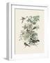 Honeybloom Bird II-Wild Apple Portfolio-Framed Art Print