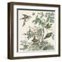 Honeybloom Bird III-Wild Apple Portfolio-Framed Art Print