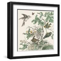 Honeybloom Bird III-Wild Apple Portfolio-Framed Art Print