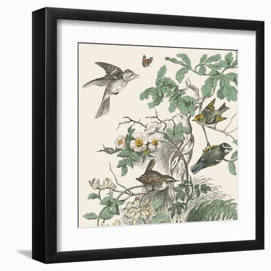 Honeybloom Bird III-Wild Apple Portfolio-Framed Art Print