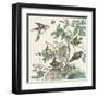 Honeybloom Bird III-Wild Apple Portfolio-Framed Art Print