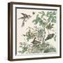 Honeybloom Bird III-Wild Apple Portfolio-Framed Art Print