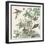 Honeybloom Bird III-Wild Apple Portfolio-Framed Art Print