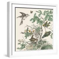 Honeybloom Bird III-Wild Apple Portfolio-Framed Art Print