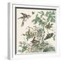 Honeybloom Bird III-Wild Apple Portfolio-Framed Art Print