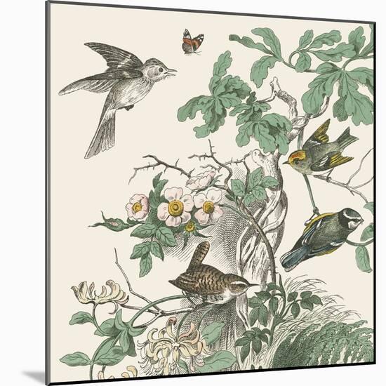 Honeybloom Bird III-Wild Apple Portfolio-Mounted Art Print