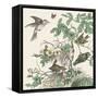 Honeybloom Bird III-Wild Apple Portfolio-Framed Stretched Canvas