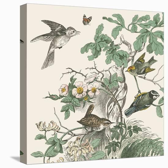 Honeybloom Bird III-Wild Apple Portfolio-Stretched Canvas