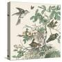 Honeybloom Bird III-Wild Apple Portfolio-Stretched Canvas