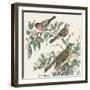 Honeybloom Bird IV-Wild Apple Portfolio-Framed Art Print