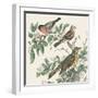 Honeybloom Bird IV-Wild Apple Portfolio-Framed Art Print