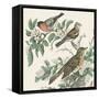 Honeybloom Bird IV-Wild Apple Portfolio-Framed Stretched Canvas