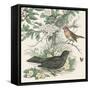 Honeybloom Bird V-Wild Apple Portfolio-Framed Stretched Canvas