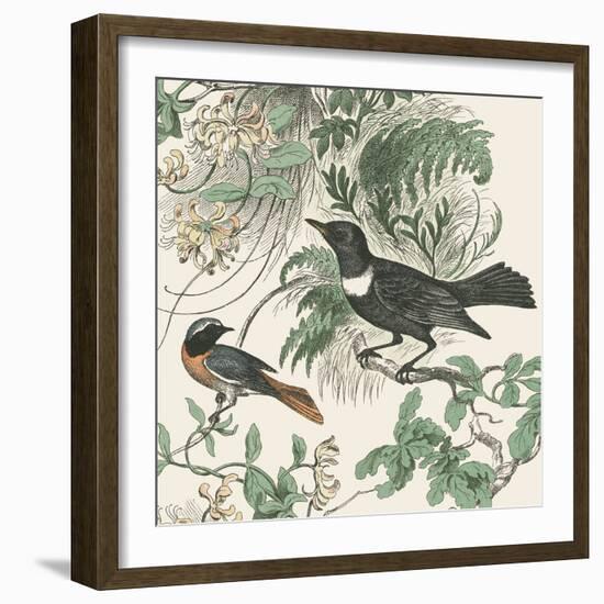 Honeybloom Bird VI-Wild Apple Portfolio-Framed Art Print