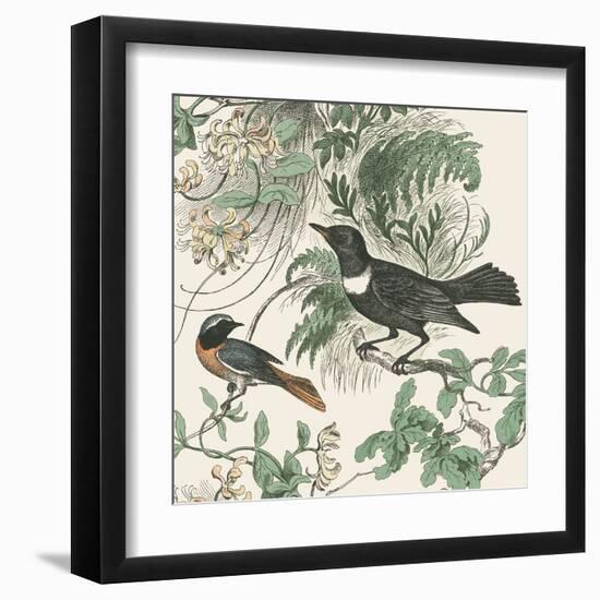 Honeybloom Bird VI-Wild Apple Portfolio-Framed Art Print