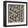 Honeycomb (Blue)-Susan Clickner-Framed Giclee Print