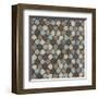 Honeycomb (Blue)-Susan Clickner-Framed Giclee Print