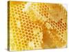 Honeycomb (Close-Up)-Colin Erricson-Stretched Canvas