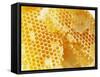 Honeycomb (Close-Up)-Colin Erricson-Framed Stretched Canvas