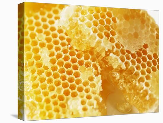 Honeycomb (Close-Up)-Colin Erricson-Stretched Canvas