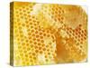 Honeycomb (Close-Up)-Colin Erricson-Stretched Canvas