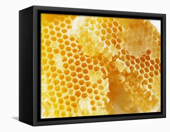 Honeycomb (Close-Up)-Colin Erricson-Framed Stretched Canvas