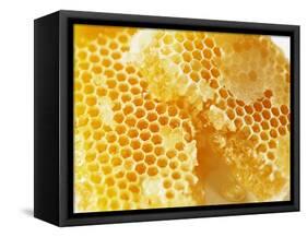 Honeycomb (Close-Up)-Colin Erricson-Framed Stretched Canvas