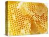 Honeycomb (Close-Up)-Colin Erricson-Stretched Canvas