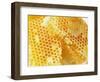 Honeycomb (Close-Up)-Colin Erricson-Framed Photographic Print