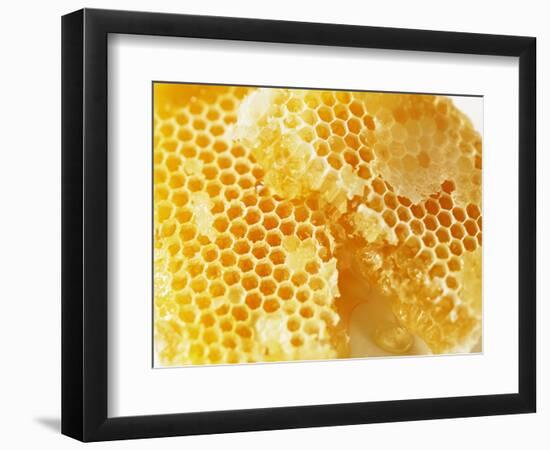 Honeycomb (Close-Up)-Colin Erricson-Framed Photographic Print