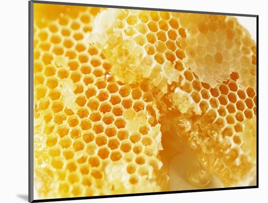 Honeycomb (Close-Up)-Colin Erricson-Mounted Photographic Print