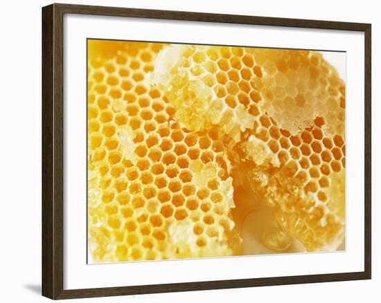 Honeycomb (Close-Up)-Colin Erricson-Framed Photographic Print