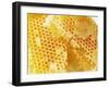 Honeycomb (Close-Up)-Colin Erricson-Framed Photographic Print