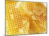 Honeycomb (Close-Up)-Colin Erricson-Mounted Photographic Print