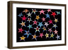 Honeycomb / Cushion starfish composite image-Georgette Douwma-Framed Photographic Print