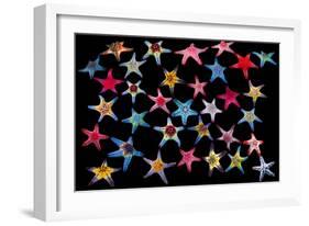 Honeycomb / Cushion starfish composite image-Georgette Douwma-Framed Photographic Print