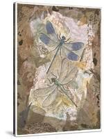 Honeycomb Dragonflies-Annabel Hewitt-Stretched Canvas