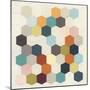 Honeycomb Geometry III-June Vess-Mounted Art Print