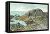 Honeycomb, Giant's Causeway, Northern Ireland-null-Framed Stretched Canvas