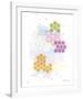 Honeycomb Hexagon-Adrienne Wong-Framed Giclee Print