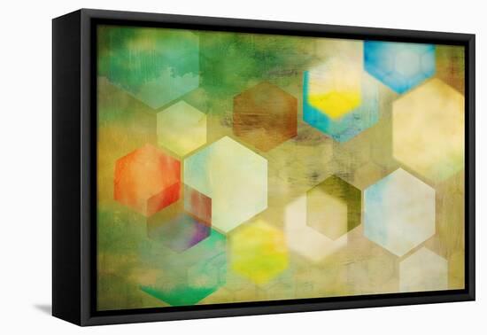 Honeycomb II-Anna Polanski-Framed Stretched Canvas